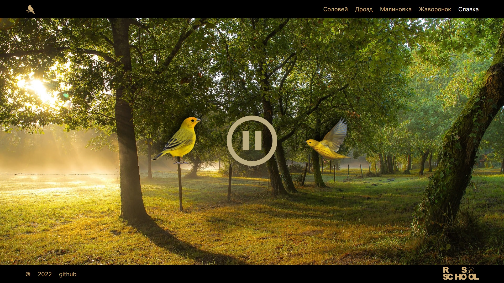 Eco-sounds
